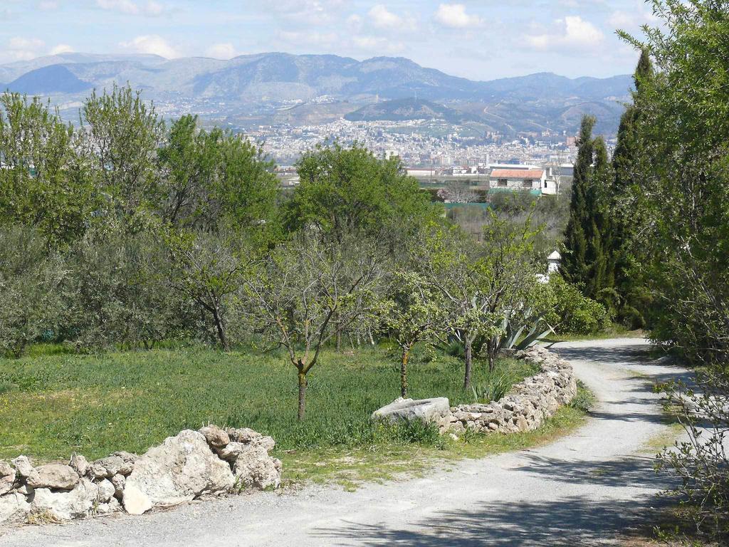 Cortijo Algabia Alhendín