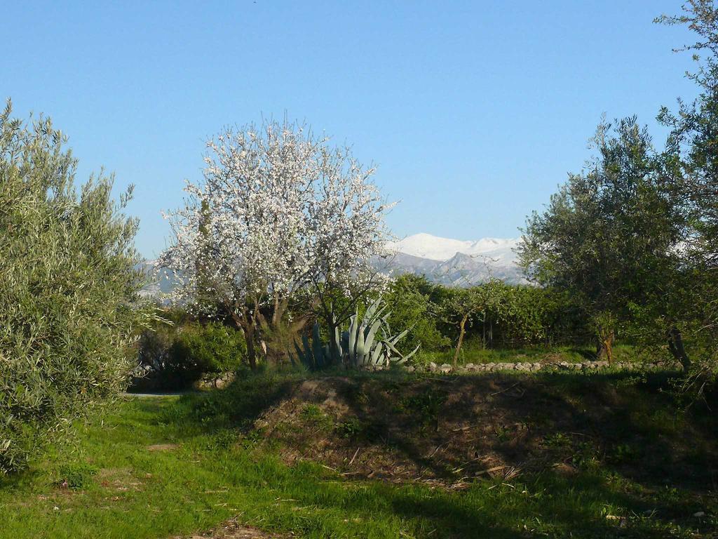Cortijo Algabia Casa rural Alhendín